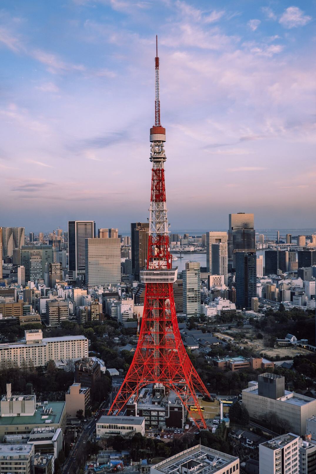 Tokyo skyline at sunset with Tokyo Tower visible