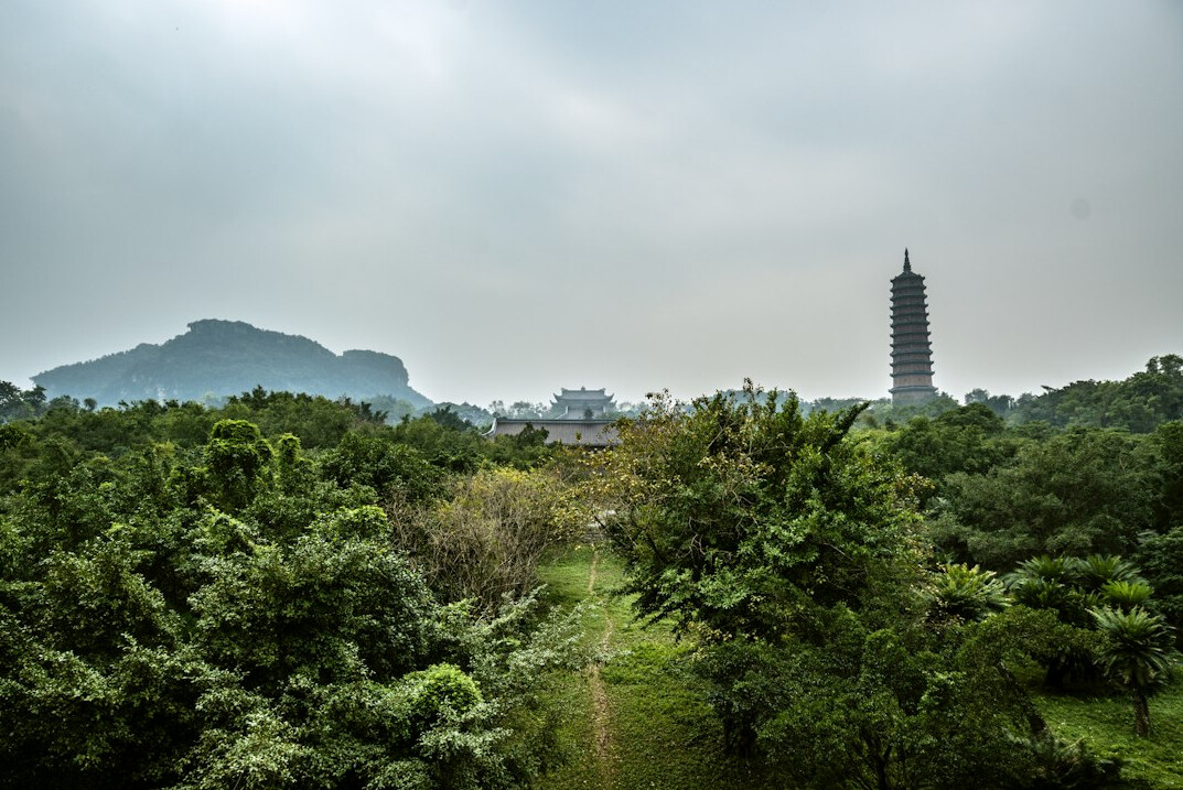 ancient temple forest