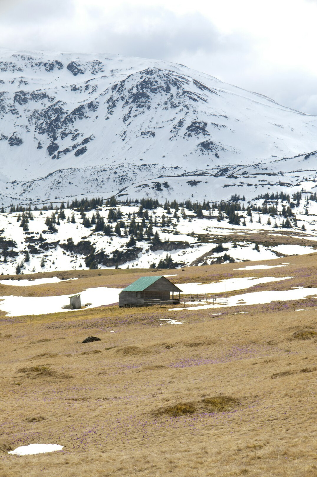 snowy mountain cabin